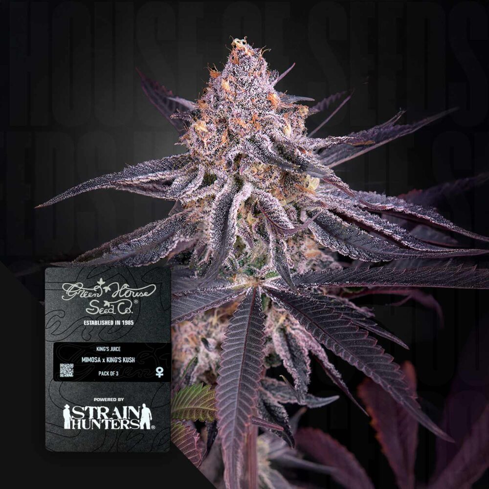 King's Juice - House of Seeds