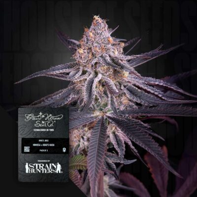 King's Juice - House of Seeds