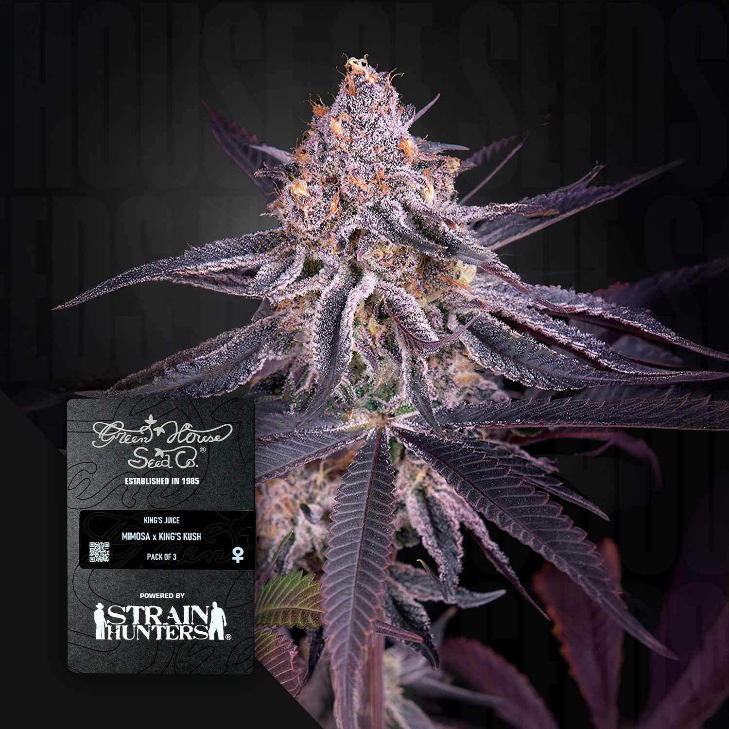 King's Juice - House of Seeds