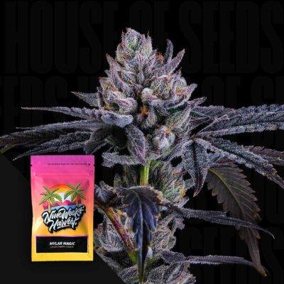 Mylar Magic - House of Seeds