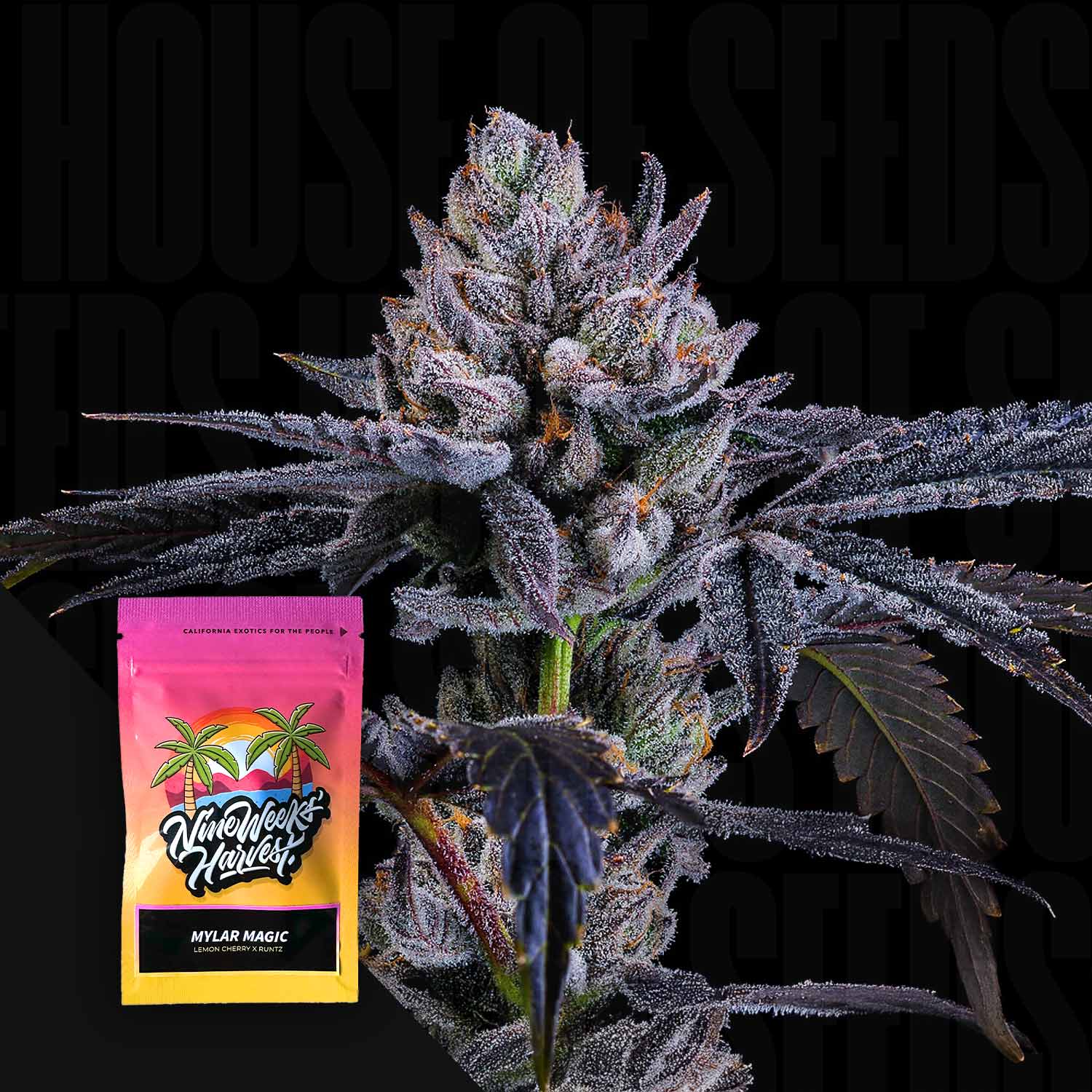 Mylar Magic - House of Seeds