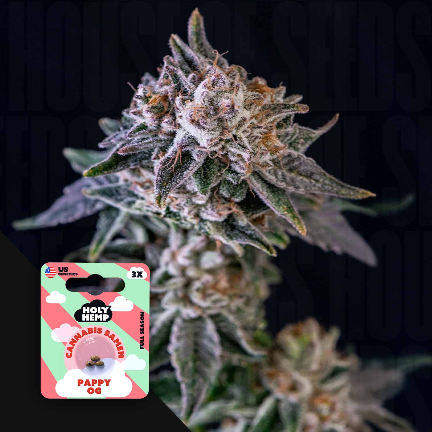 Pappy OG - House of Seeds