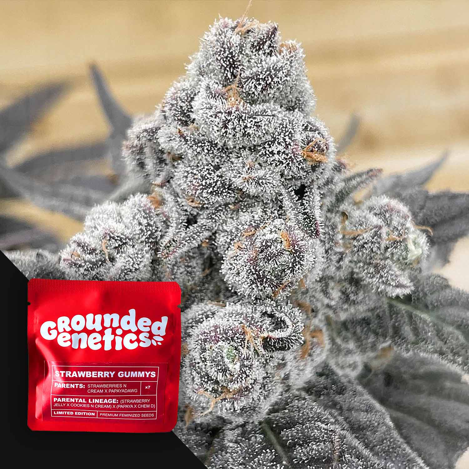 Strawberry Gummies - House of Seeds