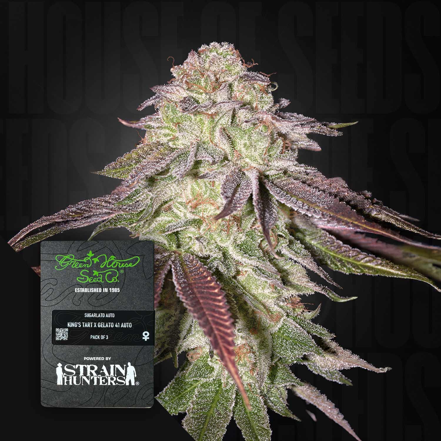 Sugarlato Auto - House of Seeds