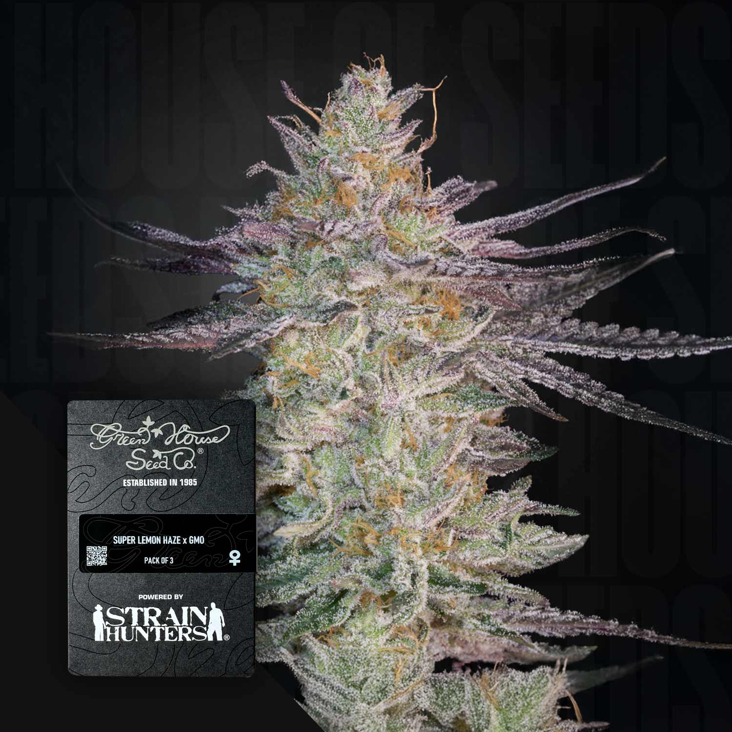 Super Lemon Haze x GMO - House of Seeds