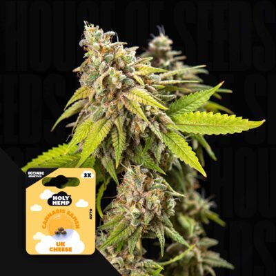 UK Cheese - House of Seeds