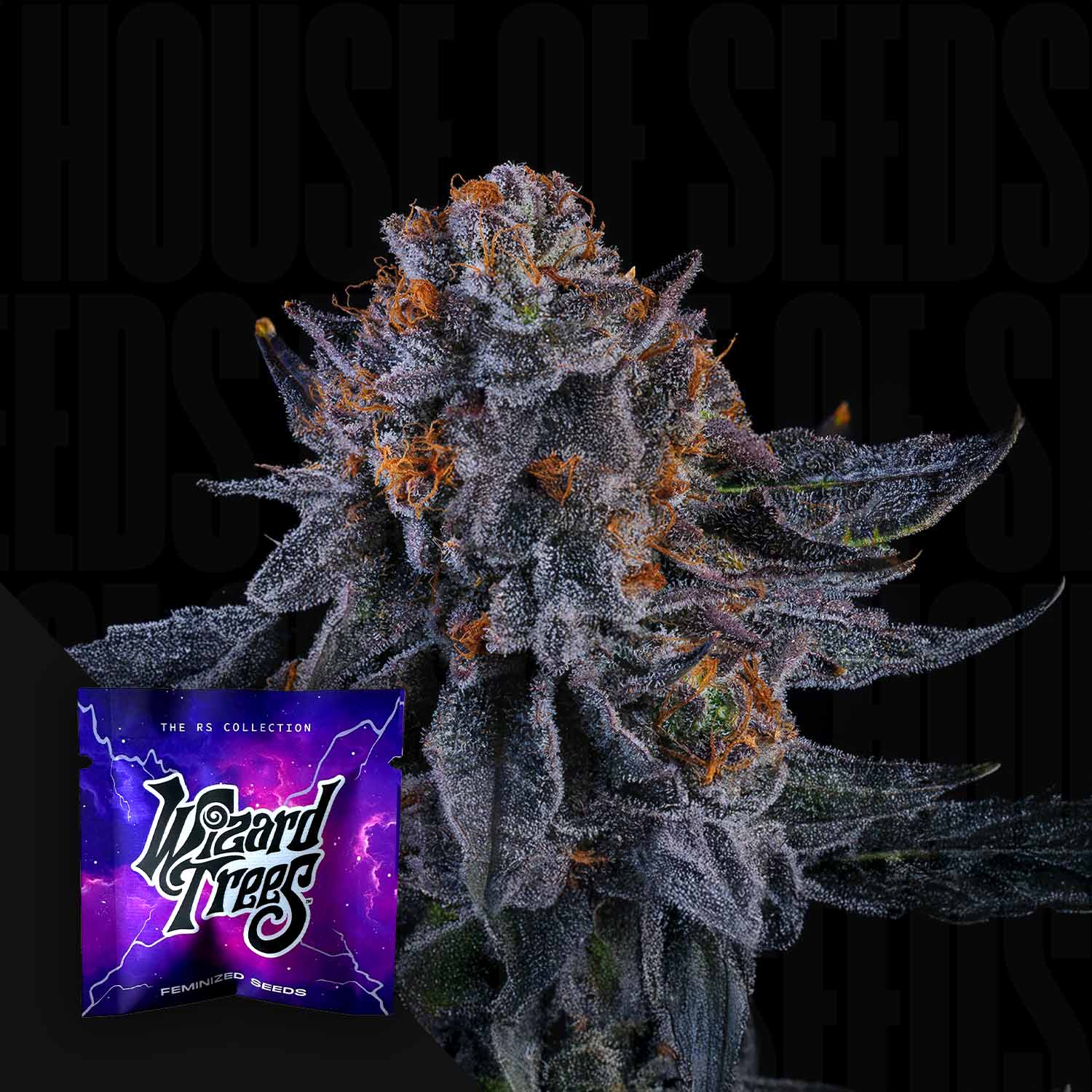 Wizard Fuel - House of Seeds