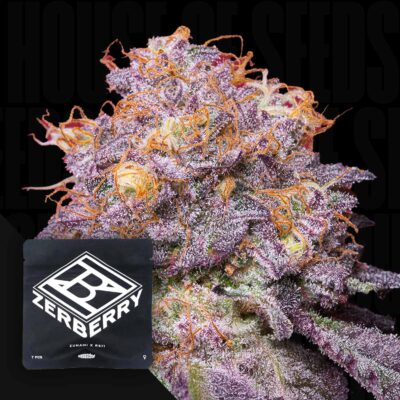 Zerberry - House of Seeds