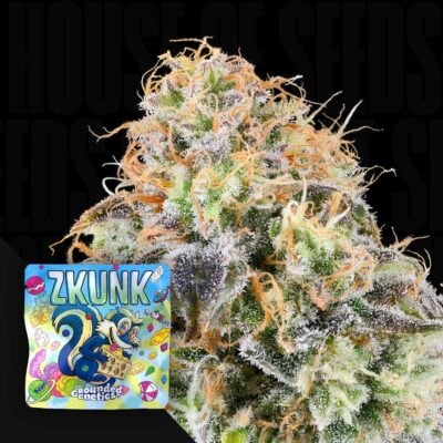 Zkunk - House of Seeds
