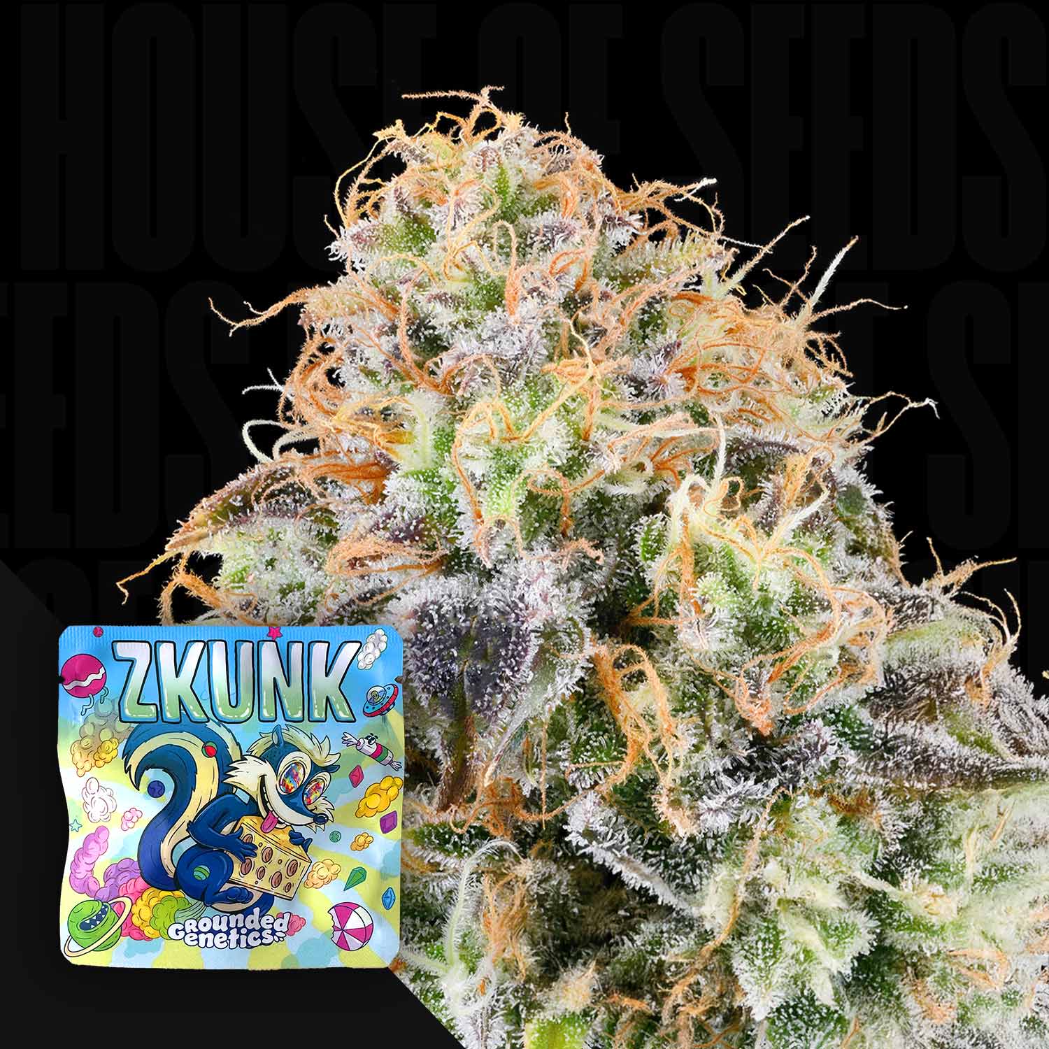 Zkunk - House of Seeds