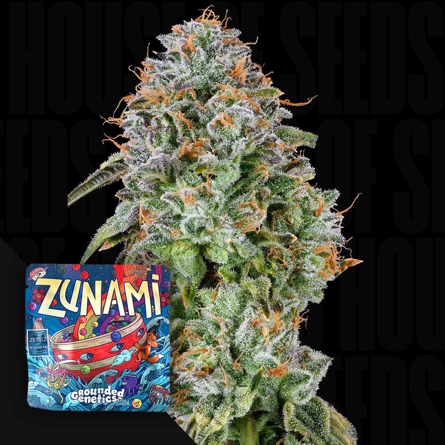 Zunami - House of Seeds