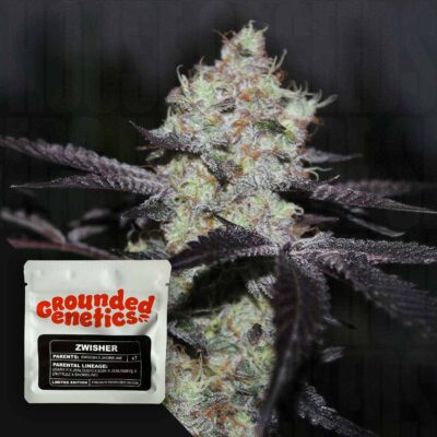 Zwisher - House of Seeds