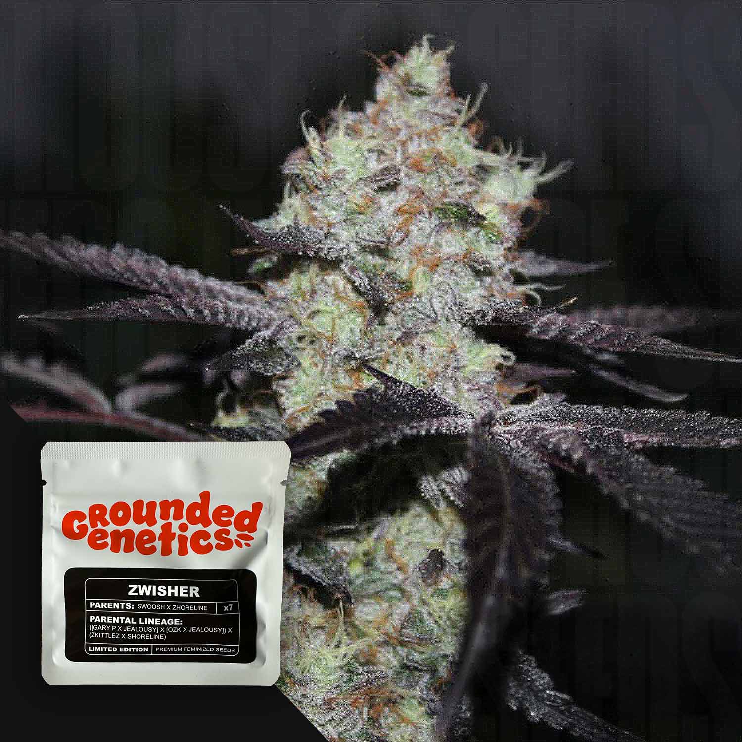 Zwisher - House of Seeds
