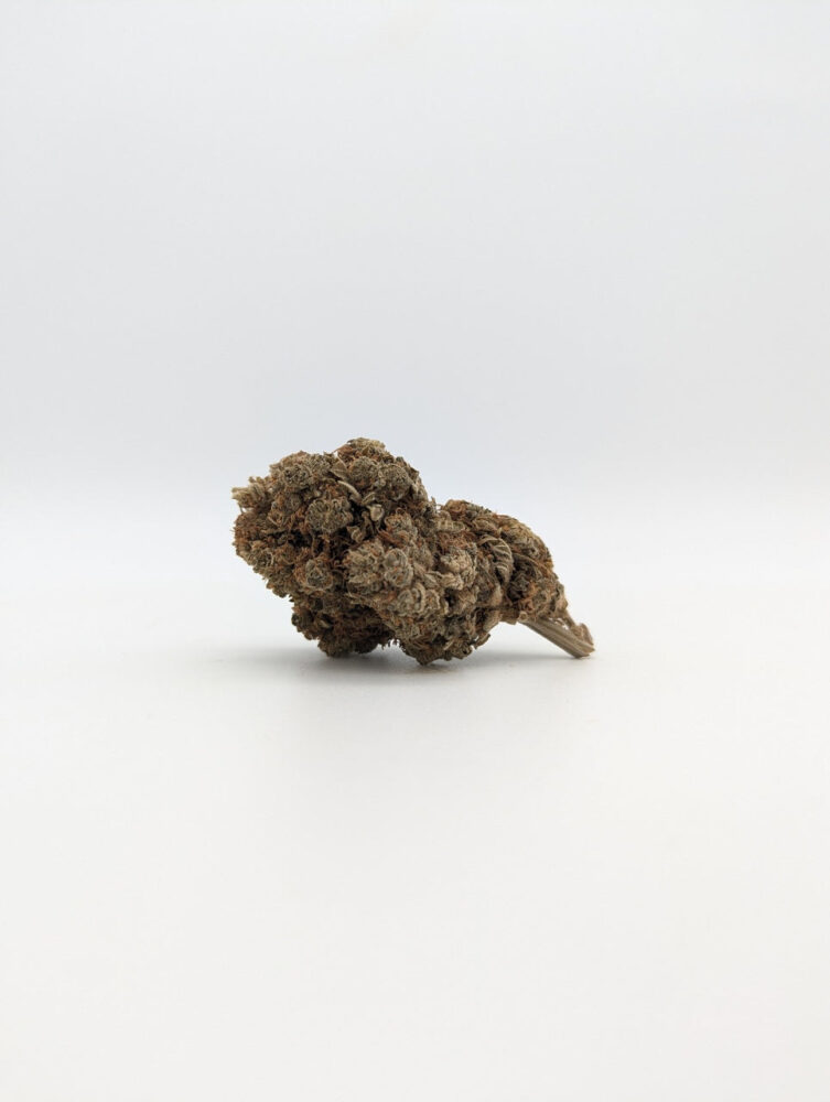 10-OH-HHC Amnesia Haze Big Buds 40% 10HC - East Smoke