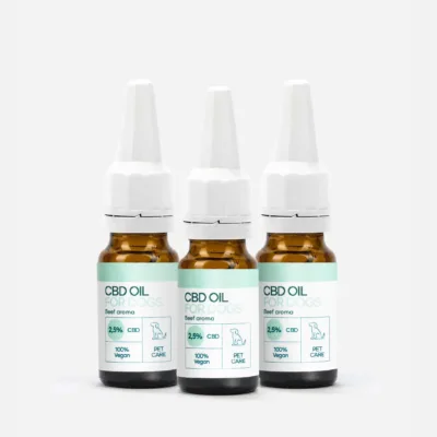 3FÜR2 CBD Öl für Hunde Rind 2