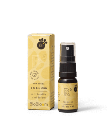 5% Bio CBD Öl für Hunde rex relax - BioBloom