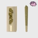 Amnesia 10HC Prerolls Power LVL 4 - Flower Power