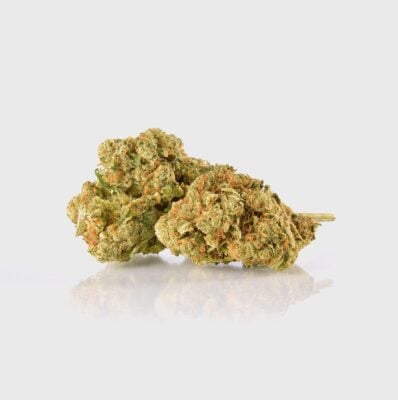 Amnesia 40% Superior - Happy420