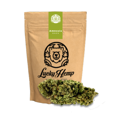 Amnesia Haze Ökopack - Lucky Hemp