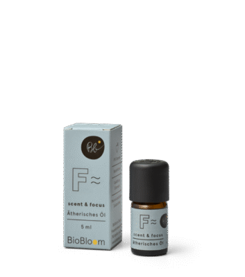 Bio Aromatherapie mit Hanfterpenen scent & focus 5ml - BioBloom