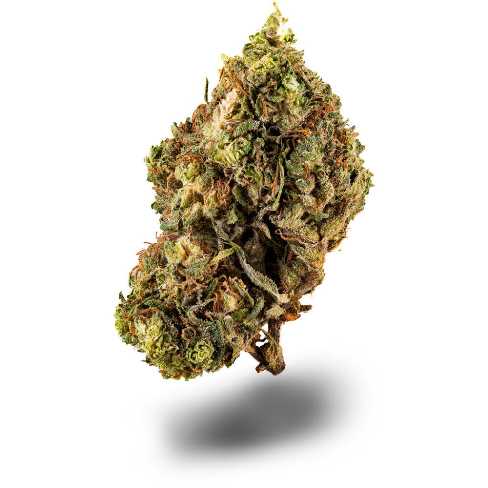 Blue Dream - CBDIA