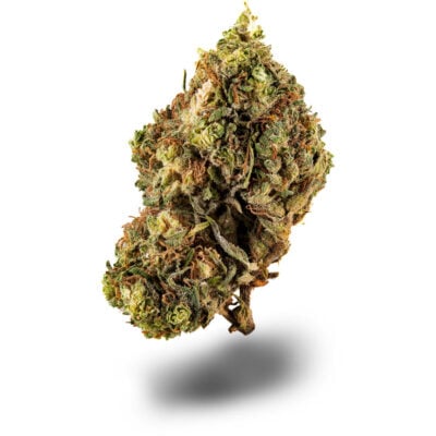 Blue Dream - CBDIA