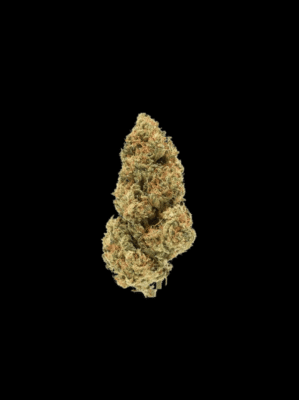 Blue Zushi – Only Grams