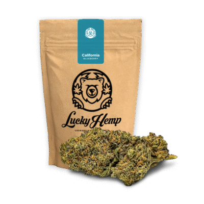 California Blueberry Ökopack - Lucky Hemp