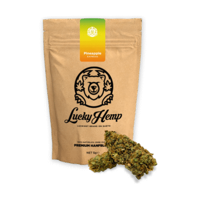California Pineapple Express Ökopack - Lucky Hemp