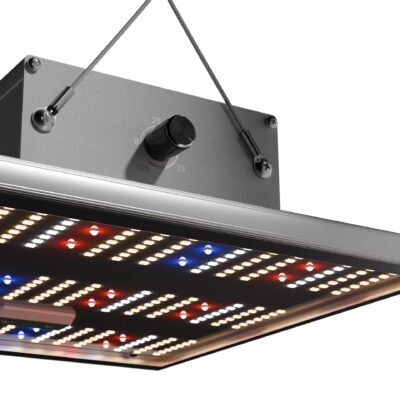 Caluma Force 75W LED 27 µmolJ - Grow Guru