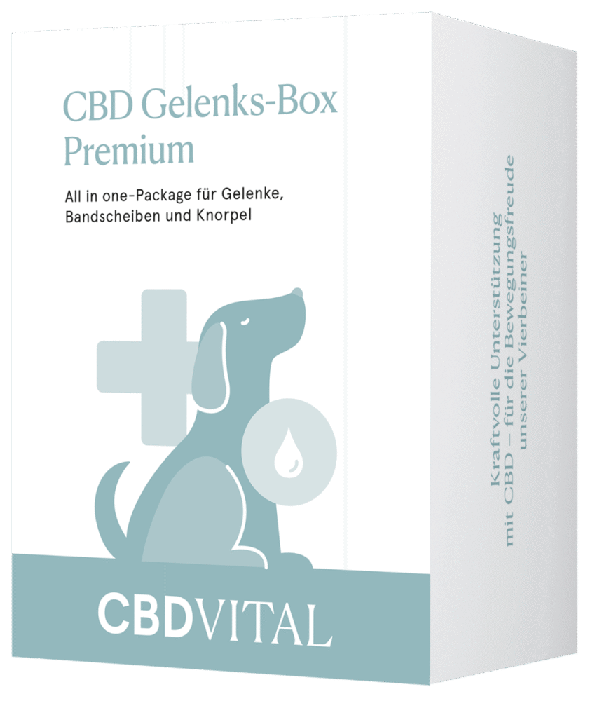 CBD Gelenks-Box Premium - CBD Vital