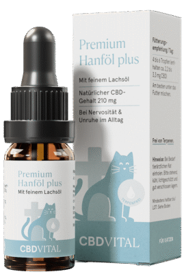 CBD Hanföl für Katzen - CBD Vital