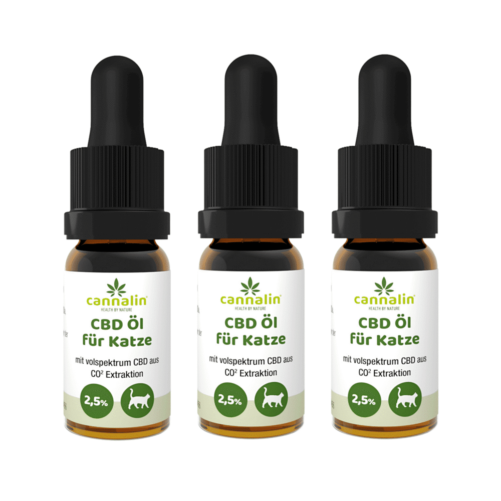 CBD Öl für Katzen mit Lachsöl 2