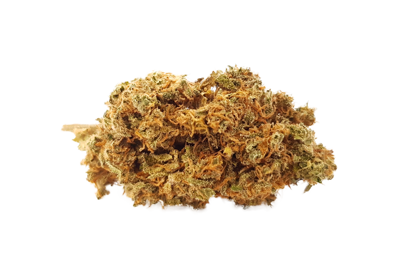Cheese Haze CBD Blüten Indoor - CBD040