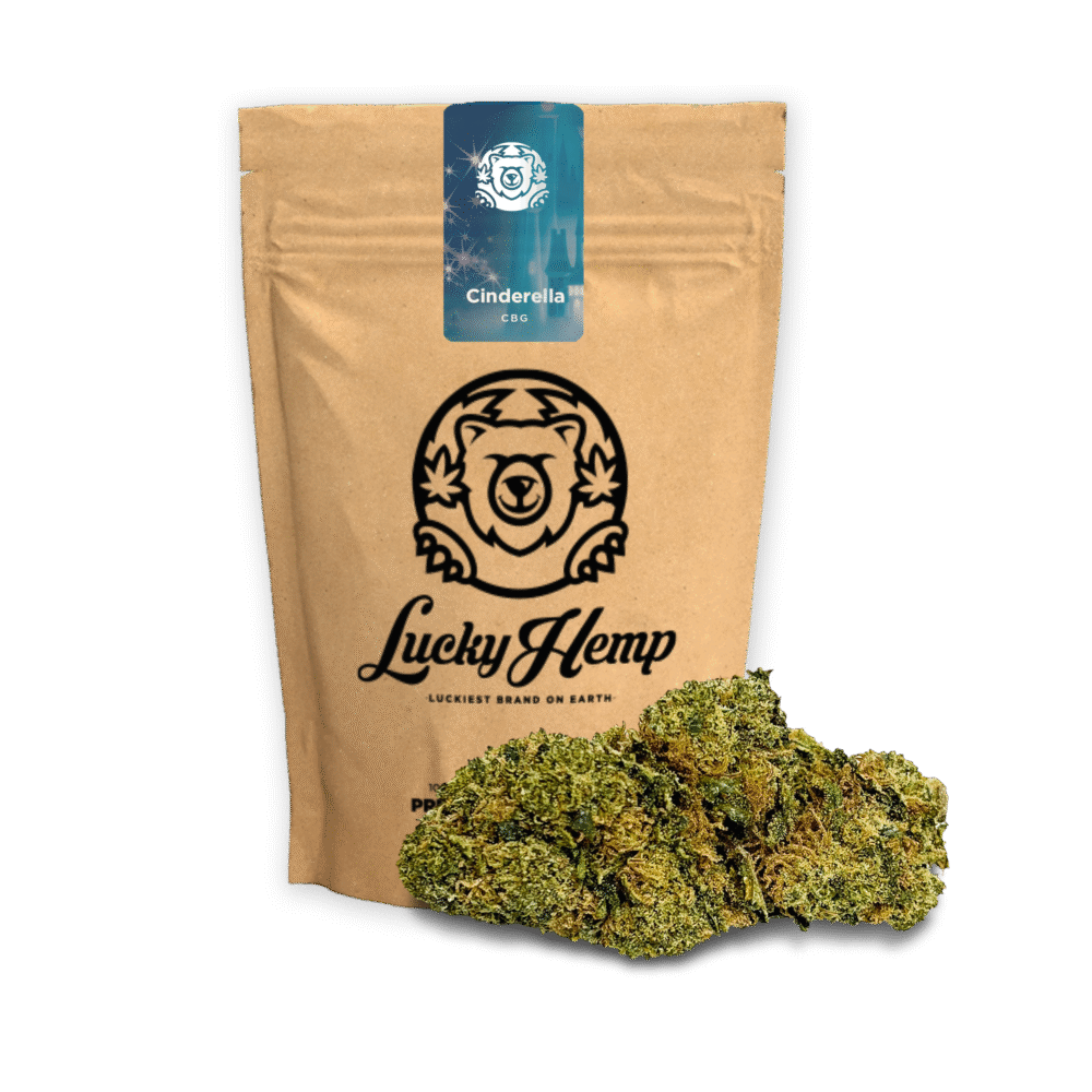 Cinderella CBG Ökopack - Lucky Hemp