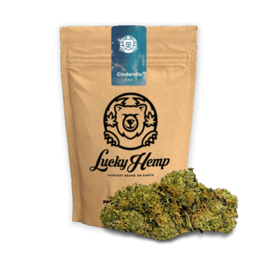 Cinderella CBG Ökopack - Lucky Hemp