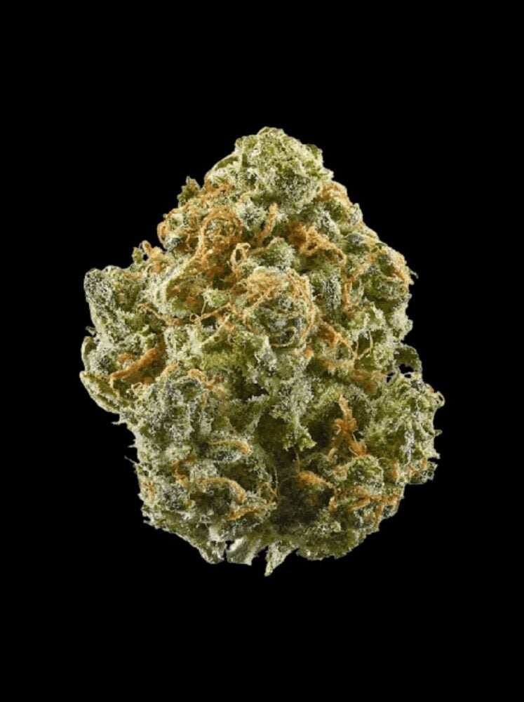 Critical+ 2.0 - Only Grams