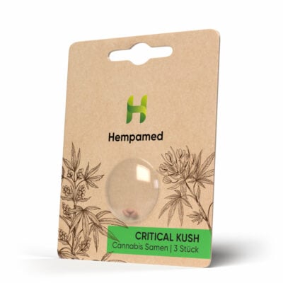 Critical Kush Samen - Hempamed
