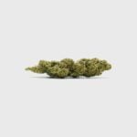 Diesel Dynamite SATIVA TURBO LVL 5 - Flower Power