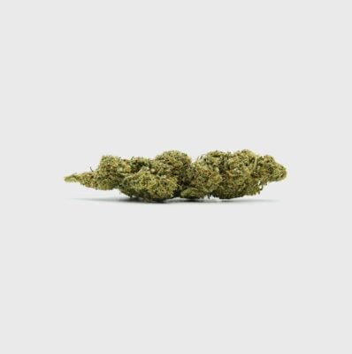 Diesel Dynamite SATIVA TURBO LVL 5 - Flower Power