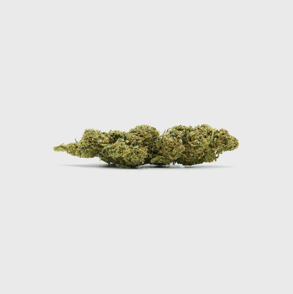 Diesel Dynamite SATIVA TURBO LVL 5 - Flower Power