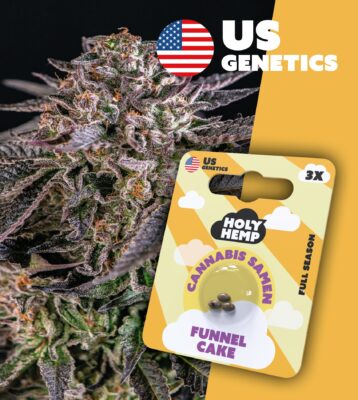 Funnel Cake Cali Seeds - Holy Hemp