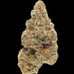 Girl Scout Cookies