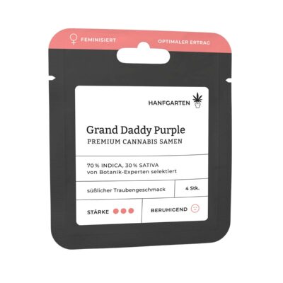 Grand Daddy Purple Feminisiert - Hanfgarten