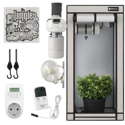 Growbox Komplettset 80x80 – Homebox Q80+ & Jungle LED 150W – inkl. Lüftung & Zubehör - Happy Grow