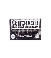 Heavy Head - Herbies