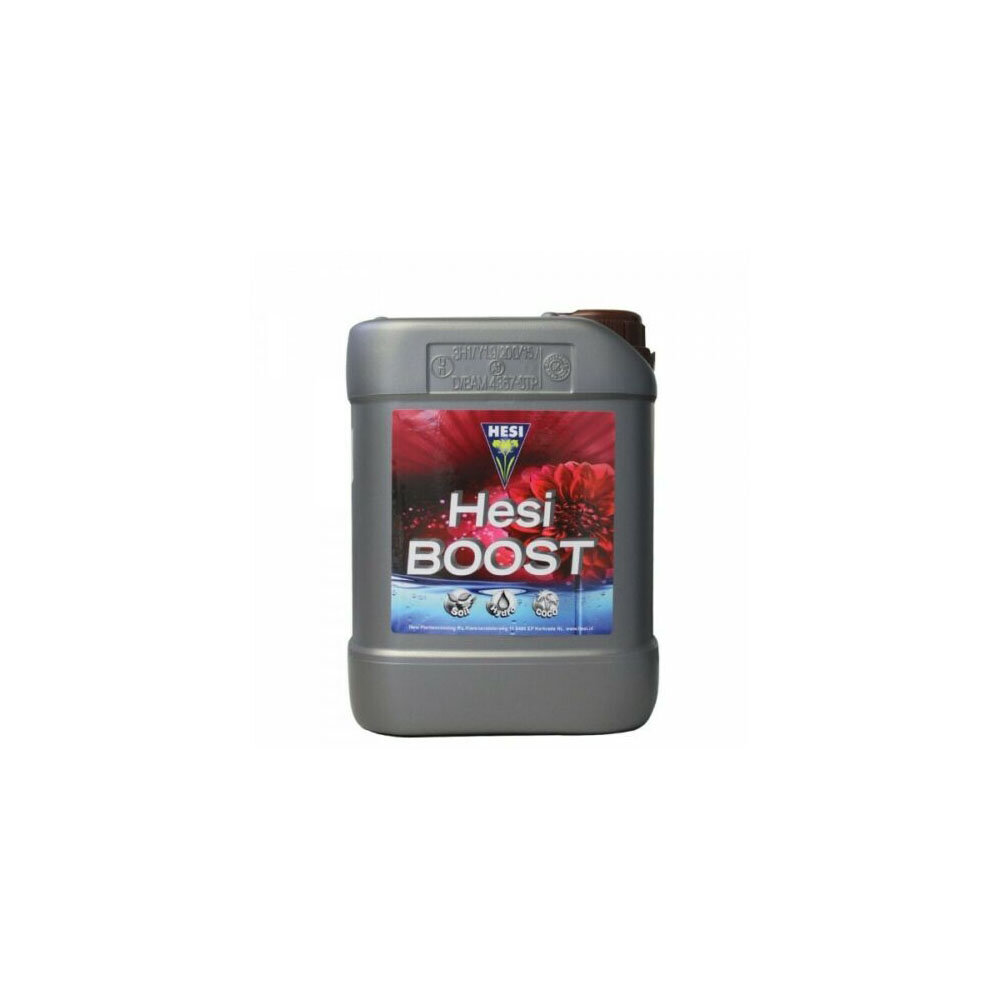 Hesi Boost 2