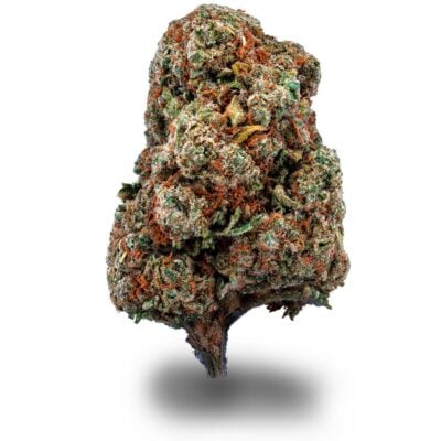 LA Amnesia - CBDIA