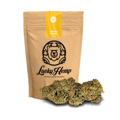 Lemon Gelato Ökopack - Lucky Hemp