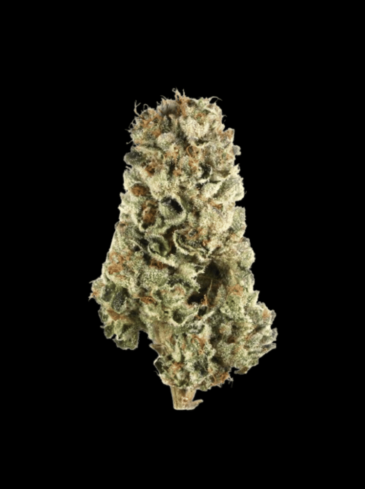 LSD - Only Grams